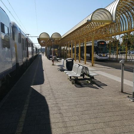 Vakantie Aan Zee De Panne Exteriér fotografie