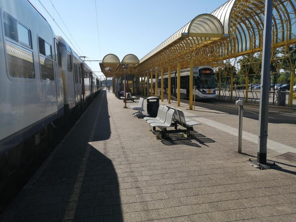 Vakantie Aan Zee De Panne Exteriér fotografie